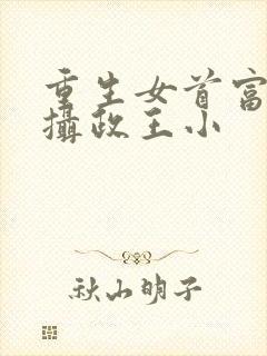 重生女首富娇养摄政王小封面