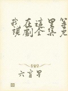 我在这里等你电视剧全集免费观看
