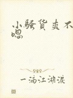 小骚货爽不爽嗯嗯