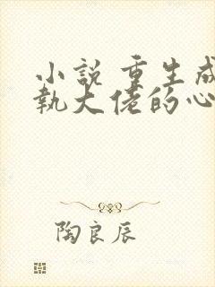小说 重生成偏执大佬的心上人