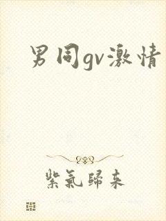 男同gv激情