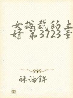 女总裁的上门女婿 第3723章