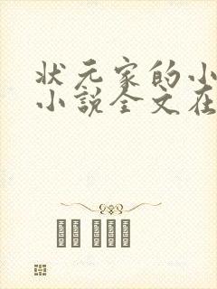 状元家的小公主小说全文在线阅读封面