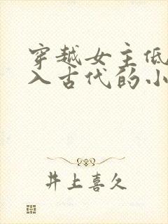 穿越女主低调融入古代的小说封面