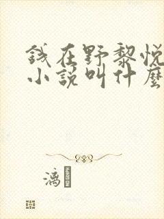钱在野黎悦原著小说叫什么名字