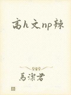 高h文np辣