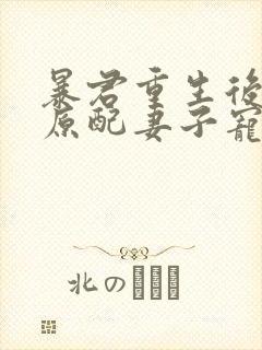 暴君重生后,将原配妻子宠上天