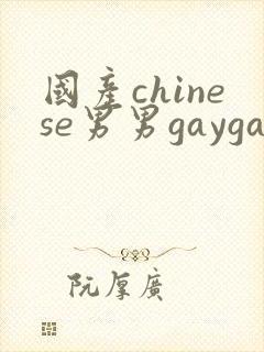 国产chinese男男gaygay网站钙站