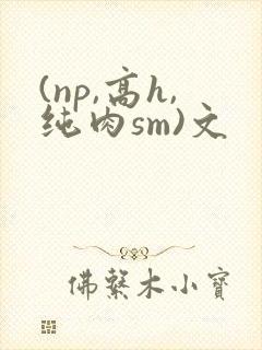 (np,高h,纯肉sm)文