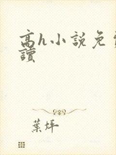 高h小说免费阅读封面
