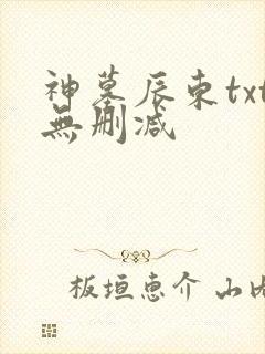 神墓辰东txt无删减