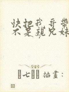 快把我哥带走是不是亲兄妹封面