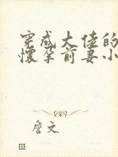 穿成大佬的炮灰怀孕前妻小说封面