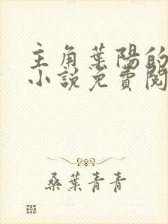 主角叶阳的官场小说免费阅读