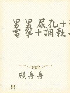 男男尿孔+灌+电击+调教小说