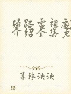 归路电视剧剧情介绍全集免费观看封面