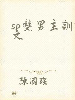 sp双男主训诫文