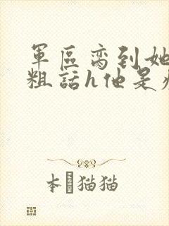 军区脔到她哭h粗话h他是疯批