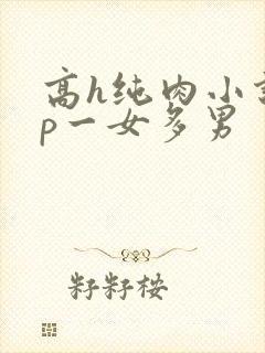 高h纯肉小说np一女多男
