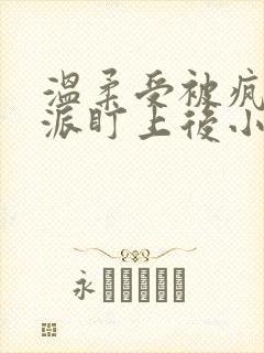 温柔受被疯批反派盯上后小说免费阅读