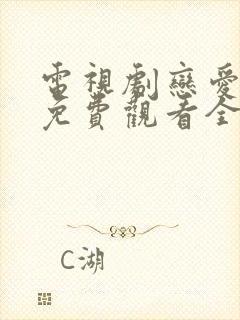 电视剧恋爱先生免费观看全集剧情