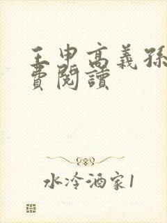 王申高义孙倩免费阅读
