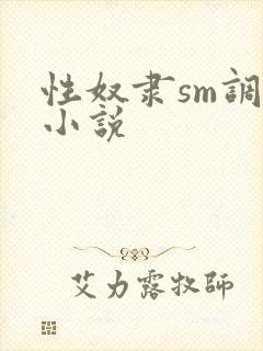 性奴隶sm调教小说