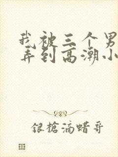 我被三个男人玩弄到高潮小说