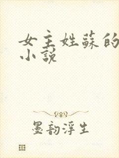 女主姓苏的现代小说封面