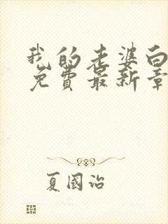 我的老婆白富美免费最新章节封面