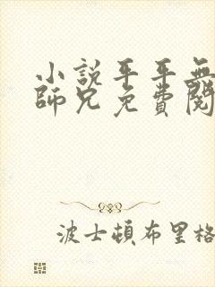 小说平平无奇大师兄免费阅读