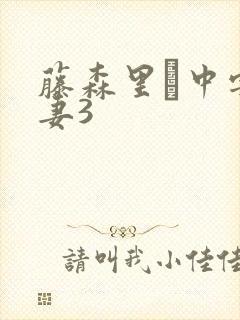 藤森里穂中字人妻3