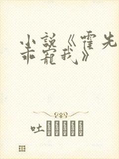 小说《霍先生乖乖宠我》封面