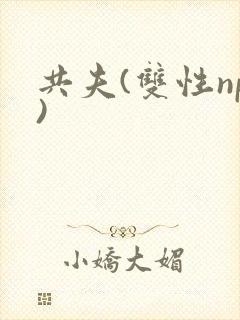 共夫(双性np)封面