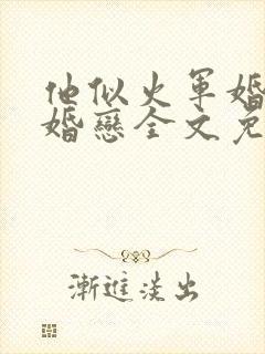 他似火军婚高干婚恋全文免费阅读笔趣