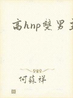 高hnp双男主