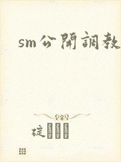 sm公开调教文