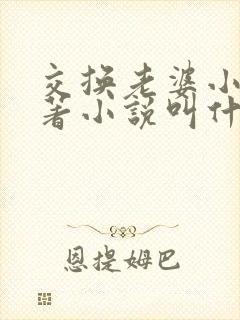 交换老婆小说原著小说叫什么名字封面