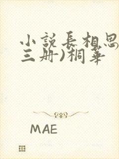 小说长相思(全三册)桐华