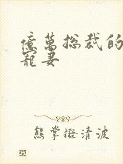亿万总裁的天价宠妻封面