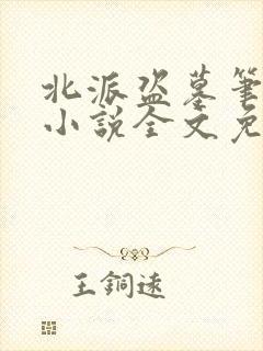 北派盗墓笔记 小说全文免费阅读