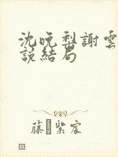 沈晚梨谢云迟小说结局