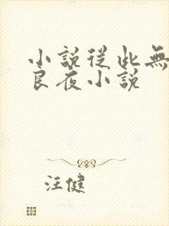 小说从此无心爱良夜小说