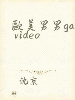 欧美男男gay video