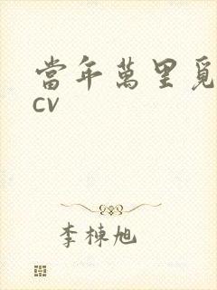 当年万里觅封侯cv