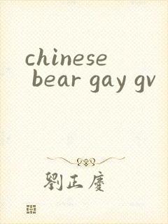 chinese bear gay gv