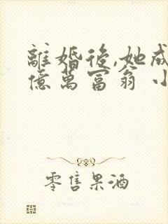离婚后,她成了亿万富翁 小说完整