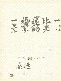 一婚还比一婚高晨雾的光 小说