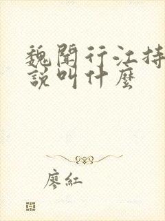 魏闻行江持风小说叫什么