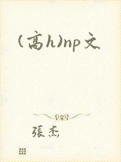 (高h)np文
